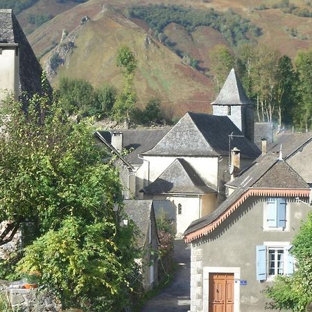 Gite Montagne Et Vie Bedous Bagian luar foto
