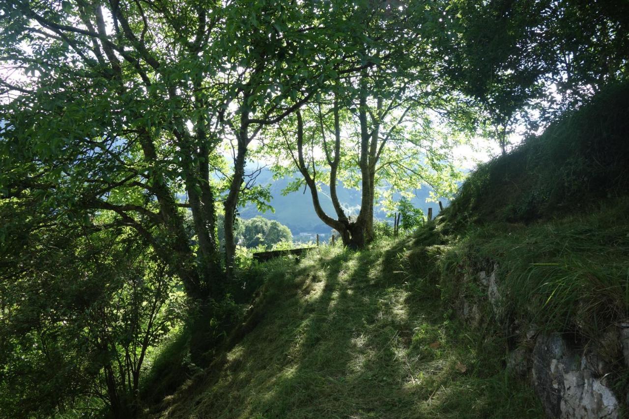 Gite Montagne Et Vie Bedous Bagian luar foto