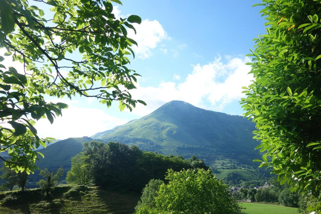 Gite Montagne Et Vie Bedous Bagian luar foto