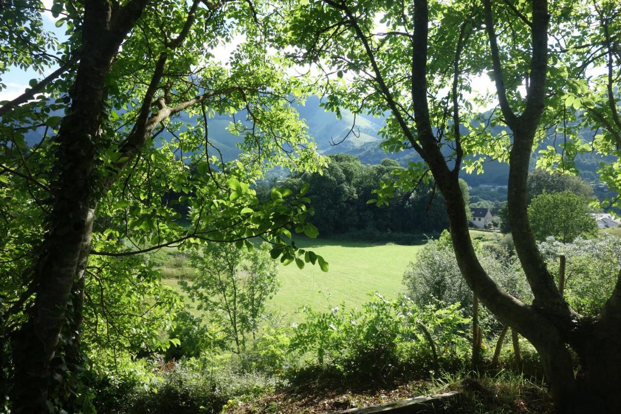 Gite Montagne Et Vie Bedous Bagian luar foto
